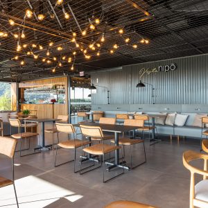 Vista Nipo Vista Nipo